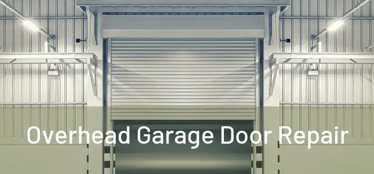  Overhead Garage Door Repair 